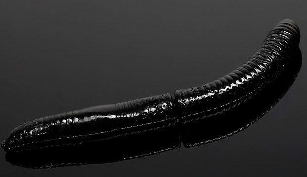 Приманка Libra Lures Fatty D'Worm Tournament 55 (040) (Сыр) (5.5см) 12 шт.																									 фото 1