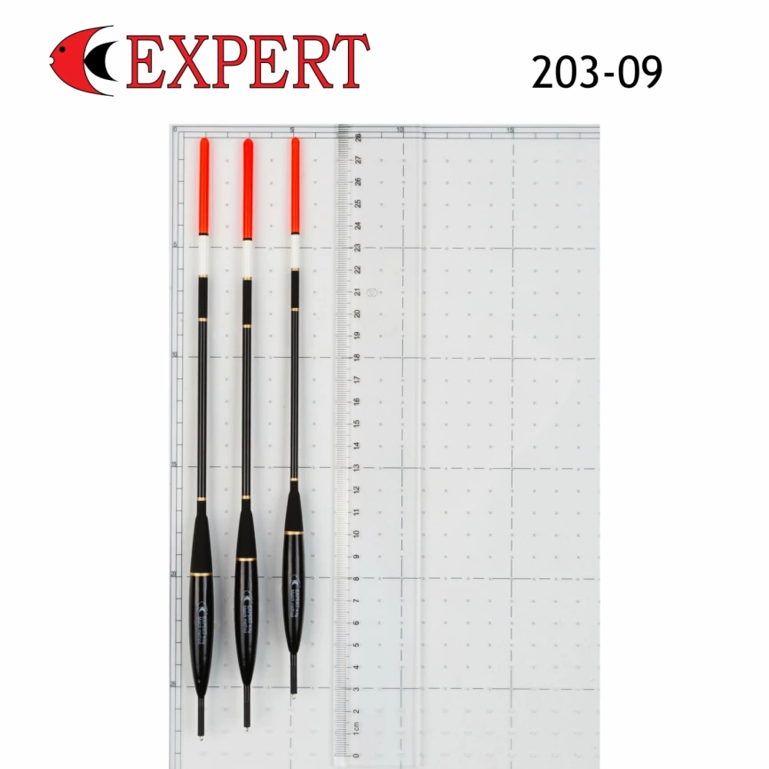 Поплавок Expert 6гр. 203-09-060 фото 1